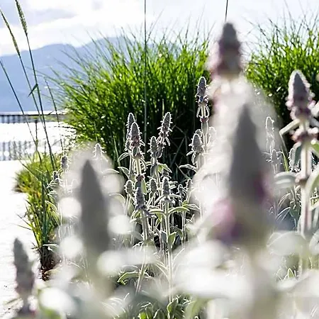 De Charme Laveno